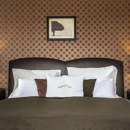 Hotel Erla Boutique 4*